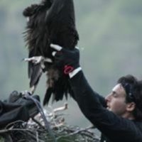 Δρ. Βασιλάκης Δημήτριος