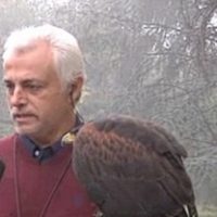 Χριστοδούλου Γιώργος