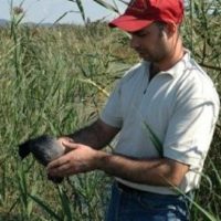 Δρ. Σώκος Χρήστος