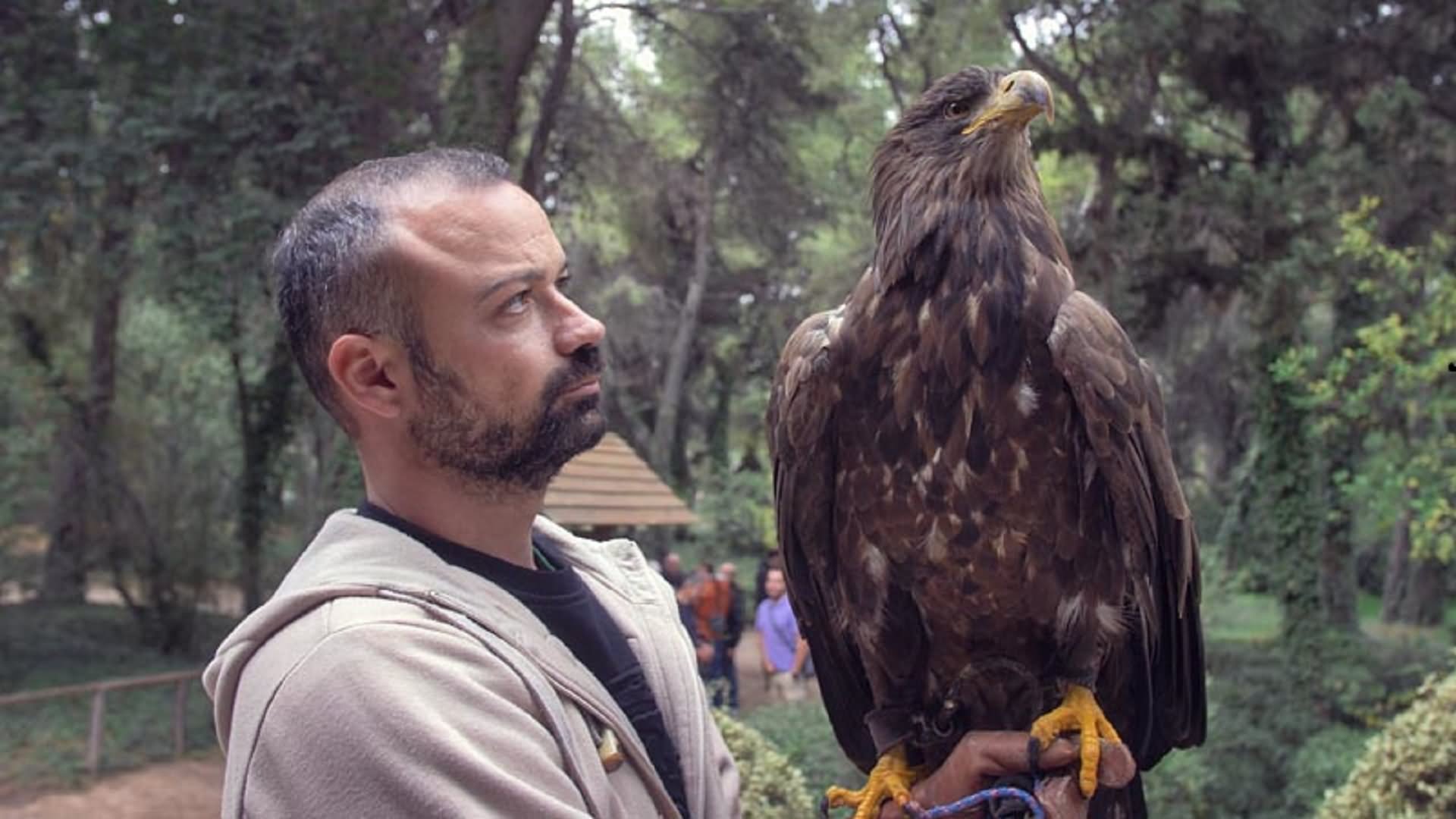Σύλλογος Ελληνικής Ιερακοθηρίας