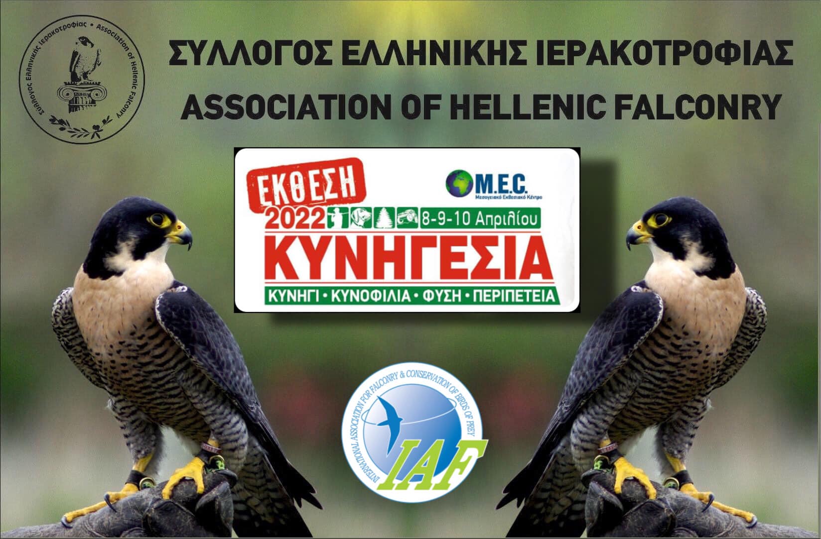 Σύλλογος Ελληνικής Ιερακοθηρίας