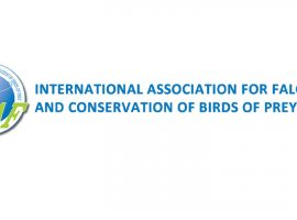 Συμμετοχή του Σ.Ε.Ι στην Γενική Συνέλευση της I.A.F