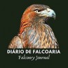 Diary of Falconry