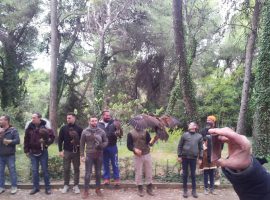 Ανακοίνωση Ετήσιας Γενικής Συνέλευσης Σ.Ε.Ι Έτους 2021